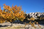 tur_1208.jpg