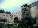 dscf1645.jpg