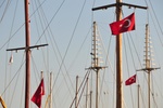 tur_1344.jpg