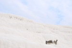 tur_1359.jpg