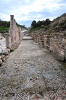 tur_1422.jpg