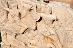 tur_1438.jpg