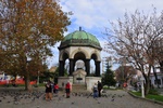 tur_1449.jpg