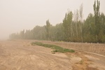 chi_9246.jpg