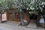 chi_9302.jpg