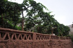 chi_9310.jpg