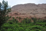chi_9326.jpg