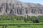 More than 100 variety of grape are grown here
