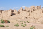 chi_9356.jpg
