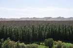 chi_9357.jpg