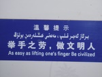 Seen in a toilet