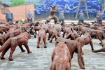 ch0_6892.jpg