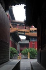 ch0_6959.jpg