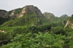 ch0_6982.jpg