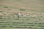 ch0_7048.jpg