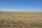 ch0_7069.jpg