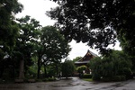 Ueno Park