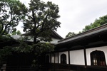jp0_5816.jpg