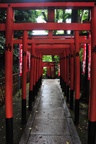 jp0_5819.jpg