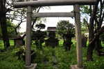 jp0_5823.jpg
