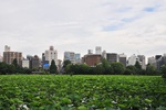 jp0_5826.jpg
