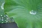 jp0_5829.jpg