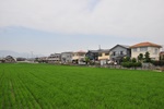 Every scrap of land in the towns and cities is used