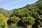 Train ride to Takayama