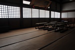 jp0_5907.jpg