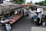jp0_5914.jpg