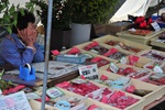 jp0_5915.jpg