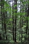 jp0_5918.jpg