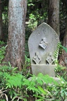 jp0_5920.jpg