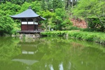 jp0_5923.jpg