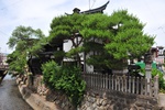 jp0_5927.jpg