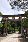 jp0_5929.jpg