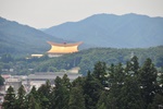 jp0_5946.jpg