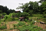 jp0_5949.jpg