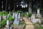 jp0_5954.jpg