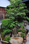 jp0_5974.jpg