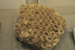 jp0_6008.jpg
