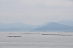 jp0_6011.jpg