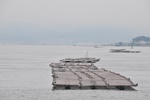 jp0_6019.jpg