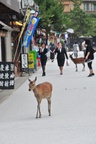 jp0_6042.jpg