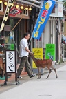 Do they like coffee?