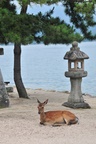jp0_6048.jpg