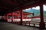 jp0_6055.jpg