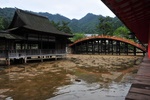 jp0_6069.jpg
