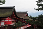 jp0_6082.jpg