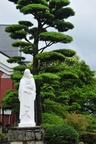 jp0_6131.jpg
